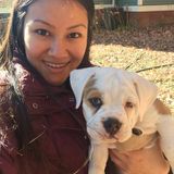 Reliable, energetic dog walker and pet sitter!