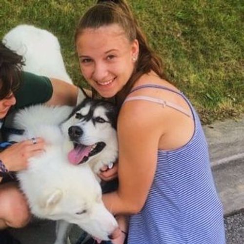 cat urine smell out of couch