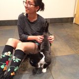 Petsitting and walking in Flagstaff