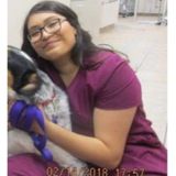 Buckeye loving, caring and trustworthy Pet Sitter