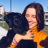 Loving Pet Trainer Available