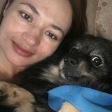 Looking For an Animal Lover Job in Wesley Chapel, Florida