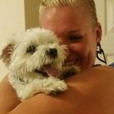 Open availability for dog sitting and walking.