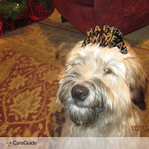 Pet Care Provider Cathy Smith's Profile Picture