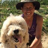 Loving and dedicated animal caregiver, very responsible and eager to help.