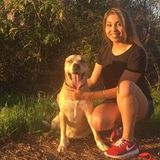Hard Working House Sitter in Mesquite