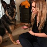 Westmont Pet Carer Searching for Work in Illinois
