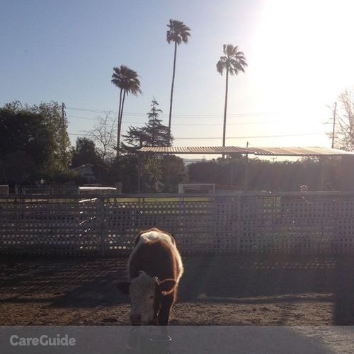 Pet Care Provider Nicki T's Profile Picture