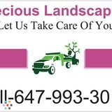 Precious Landscaping And Design