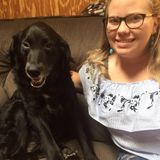 Consistent Dog Walker- trying to save for college!