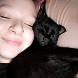 Pet sitting and daily care with love