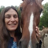 Seeking a House Sitting Professional Job in Louisville