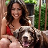 Vet school Applicant! Offering dog walks and overnight/day boarding at my home!
