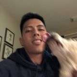 Available: Present Pet Sitting Professional in Diamond Bar
