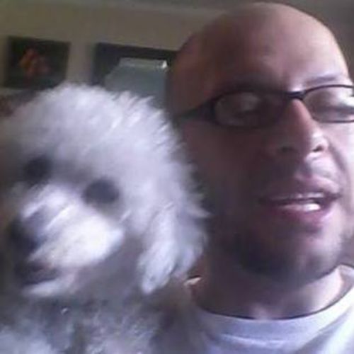 House Sitter Provider Ilija P's Profile Picture