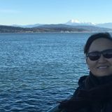 Searching for Bellingham Chambermaid Opportunity