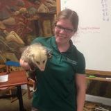 Available: Cat Sitter/ Dog Walker/ Exotic Pet Sitter