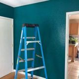 Rent A Guy Painting and Odd jobs