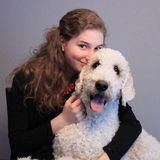 Dog Walker in Bracebridge, Ontario. Experienced with Big Breeds!