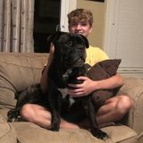 Knowledgeable Animal Caregiver in Hampstead, North Carolina