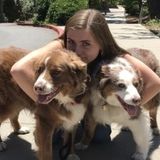 Dog Walking Offered in Portland