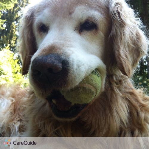 Pet Care Provider Rebecca B's Profile Picture