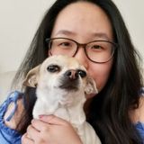 Will Love and Care For Your Pet Like My Own Pets