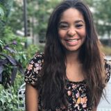 Available: Polite House Sitter in Wheaton, Maryland