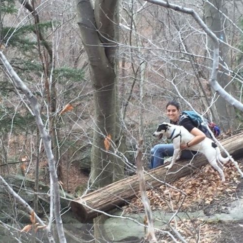 Pet Care Provider Kaitlyn Brann's Profile Picture