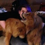 Dog and Cat Sitter Available