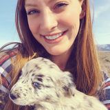 Full Service Home and Pet Care for Flathead Lake