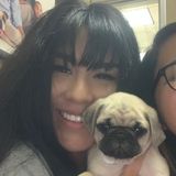 Glendale House Sitting Professional Looking For Job Opportunities
