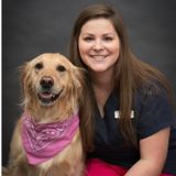 Registered Veterinary Technician Available for Pet Sitting