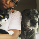 Arianna - Looking For Cat & Dog Sitter Jobs - Maybrook, Montgomery, Middletown