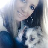 Cute Critters Petsitting & Dog walking