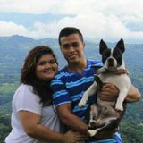 Knowledgeable Dog Walker in Summit