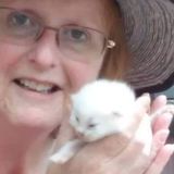 Caring animal lover, highly responsible, mature single woman to look after your home and pets.