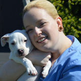 My name is Claire Moody and I have been pet sitting Rochester's furry friends for over 5 years.