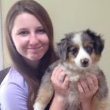 Available: Caring Dog Walker in Shawnee