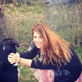 Flexible and friendly care for your pets!