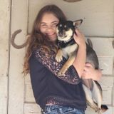 I love all animals but dogs are my favorite. They love me and Ive also trained since I have a special connection with animal