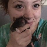 Trustworthy Pet Sitter Available in and around Huntsville, Texas