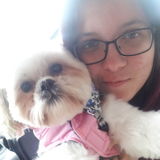 Seeking Dundee Animal Caregiver Opportunity