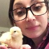 Caring, Loving Pet Sitter and Dog Walker with Pet CPR Certification