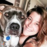 Loving & Experienced Pet Sitter - Available now!