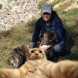Good Dog & Cat Sitting Professional in Alliston, Essa, Barrie, Ontario and surrounding areas.