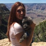 Dedicated Dog Sitter for Hire