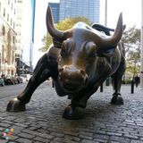 Big Four track accounting and finance tutoring and consulting