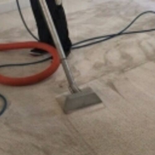 Housekeeper Provider Louis I's Profile Picture