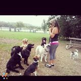 Pets-R-Us Pet Services. Professional Pet Sitting, Dog Walking, Dog Boarding